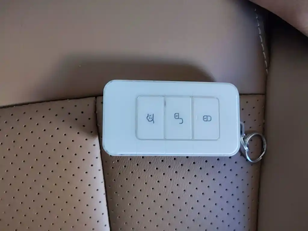 BYD Qin New Energy 2019 2018 Qin EV450 Smart Connected Premium Edition