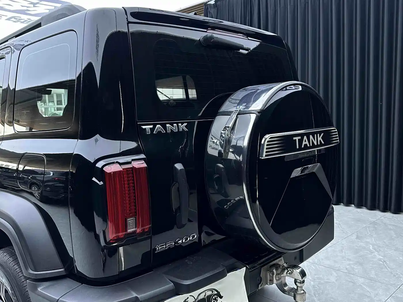 TANK 300