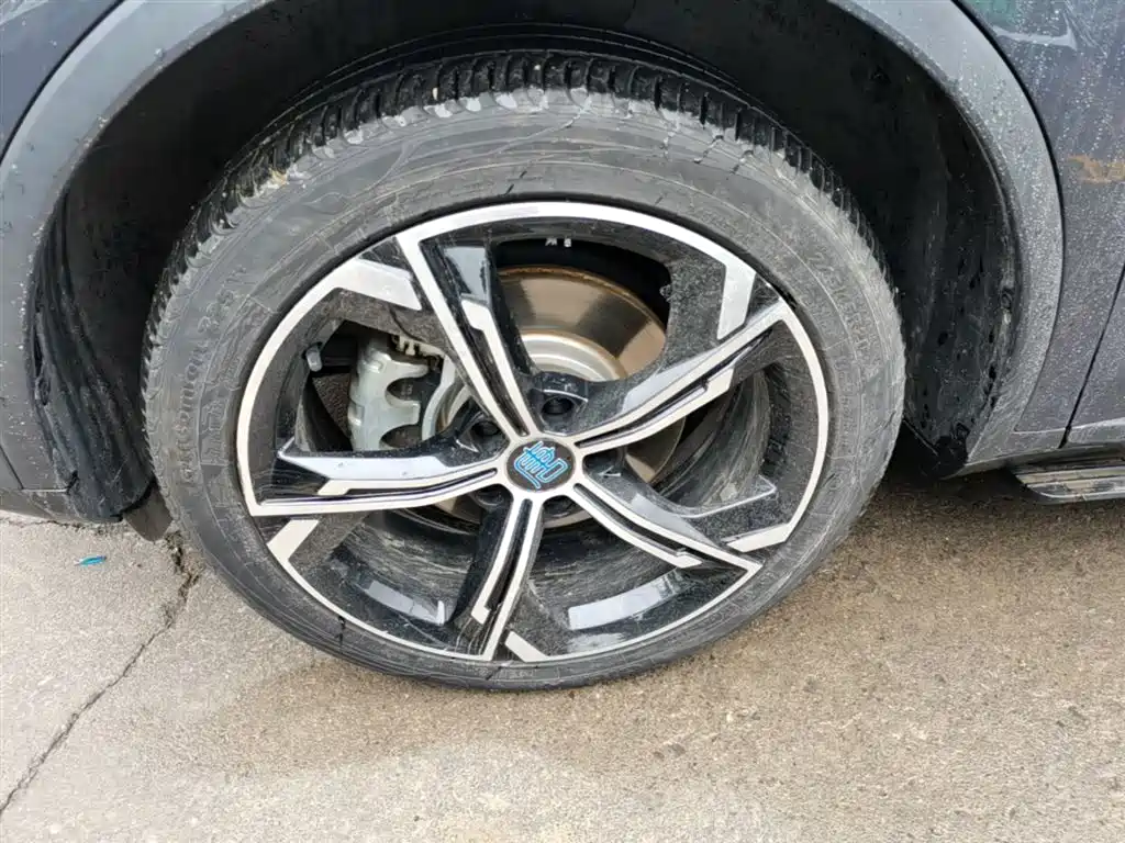 BYD Tang New Energy 2021 DM-i 112KM Honor фото 23