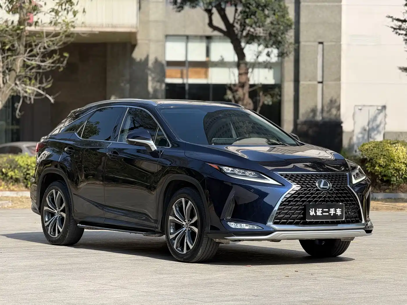 LEXUS RX