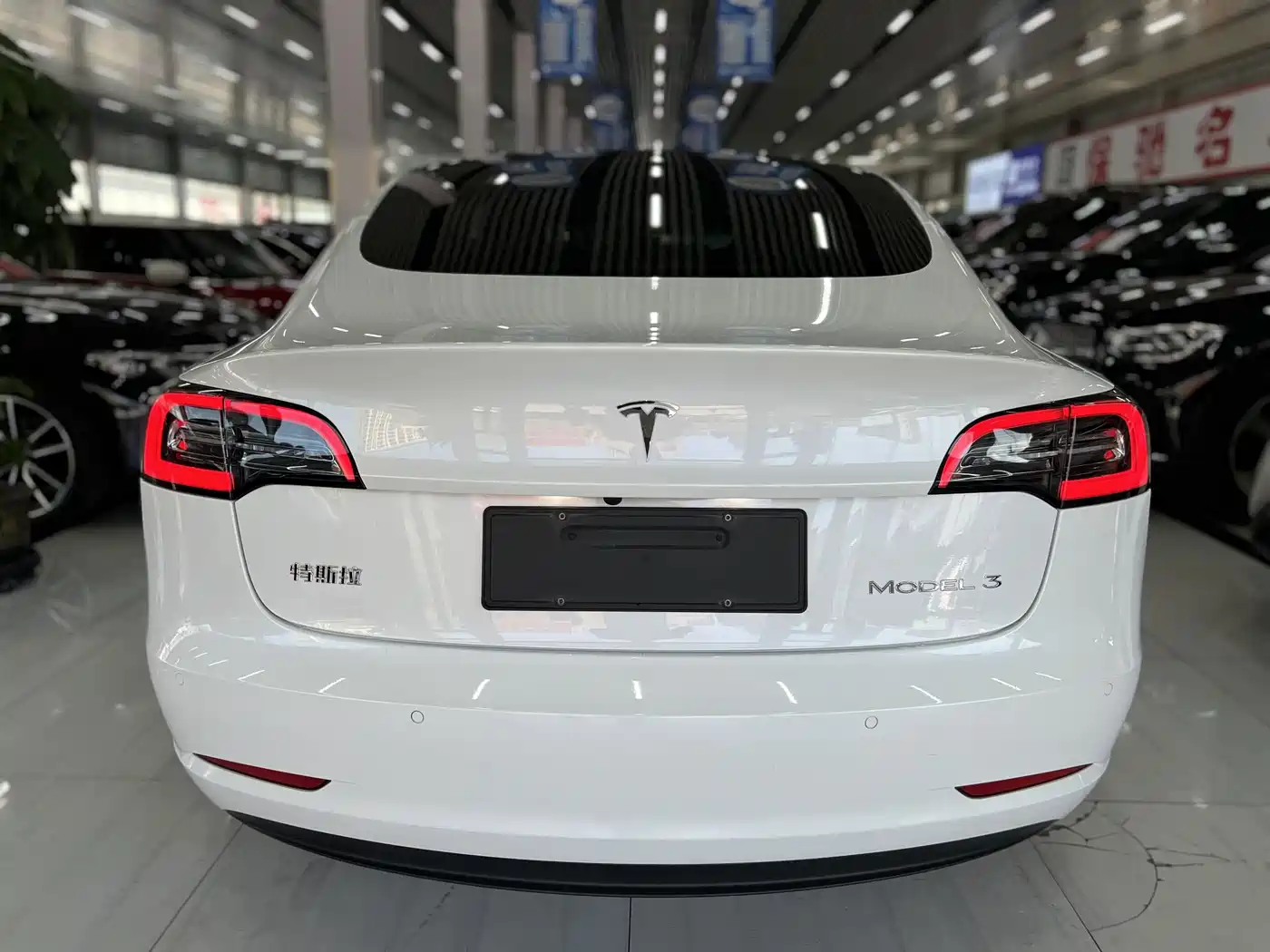 Tesla Model 3 2020 2019 Standard Range Rear-Wheel Drive Upgrade