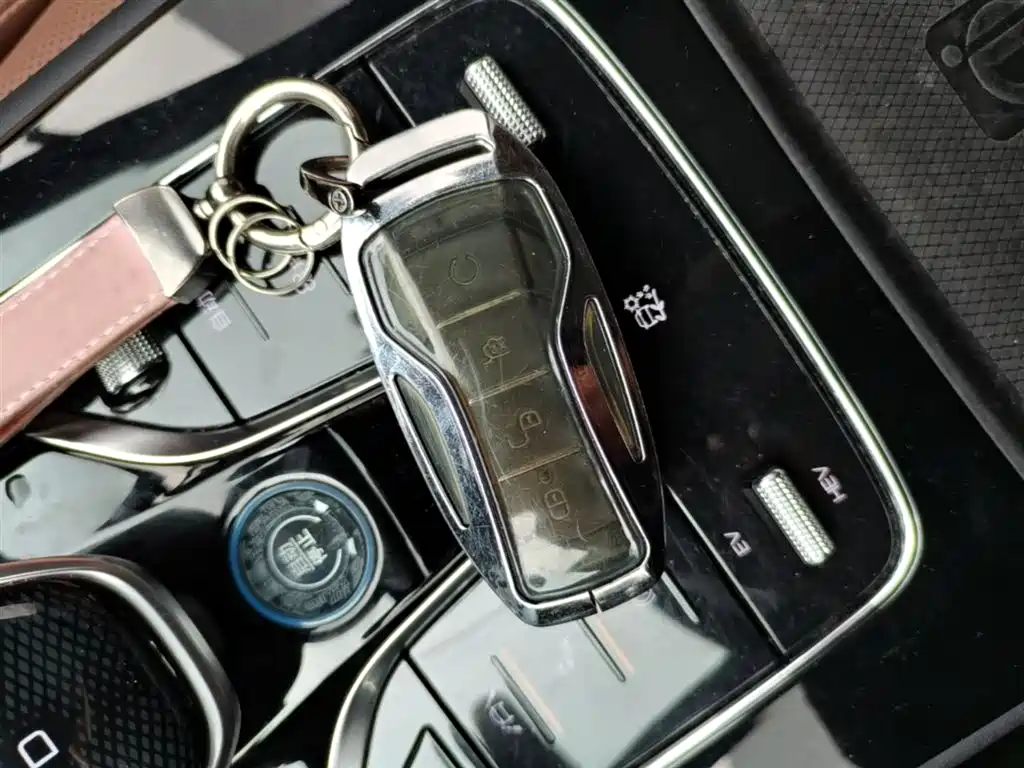 BYD Tang New Energy 2021 DM-i 112KM Honor фото 9