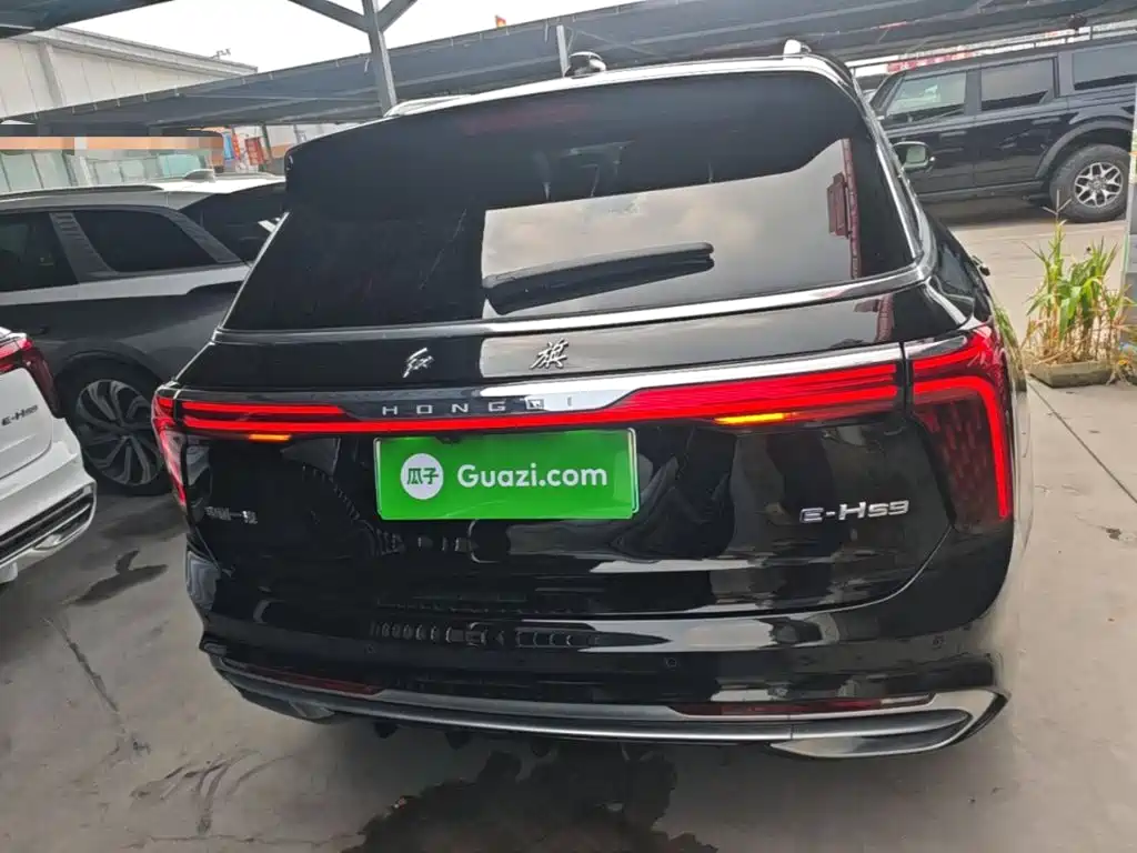 Фото 6 - Hongqi E-HS9