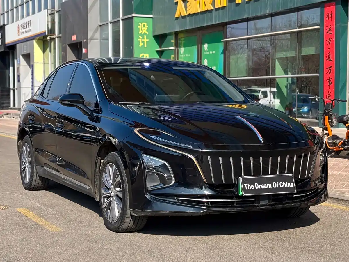 Hongqi HONGQI E QM5