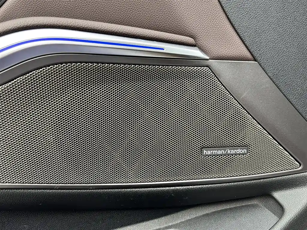 BMW 3 Series 2020 Facelift 325Li M Sport Night Edition фото 15