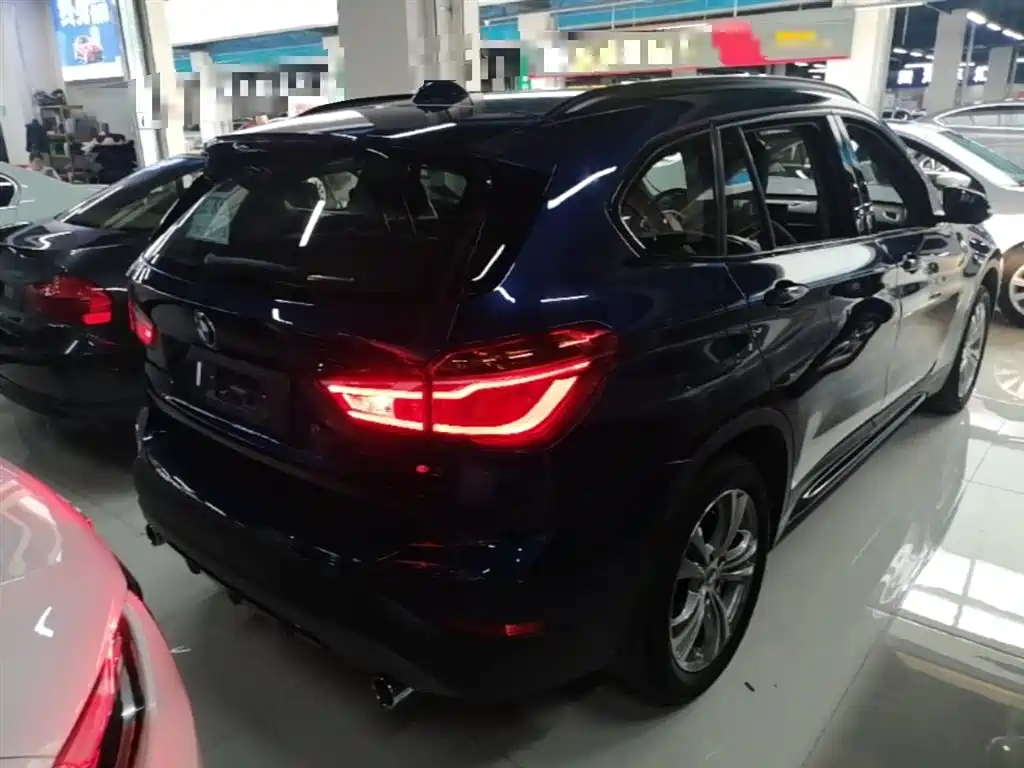 BMW X1 2019 xDrive20Li Luxury Model фото 7