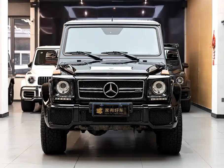 Mercedes-Benz G-Class AMG 2013 AMG G 63 фото 2