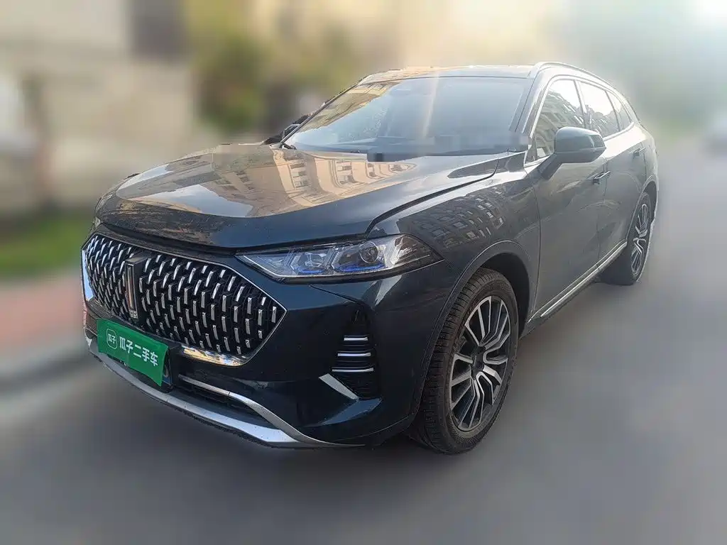 WEY Mocha 2021 2021 2.0T 4WD Premium Edition