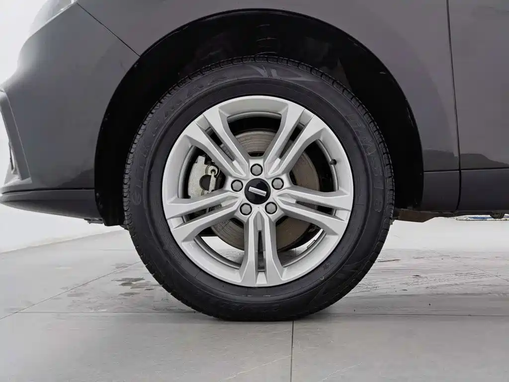 WEY VV5 2020 2020 1.5T 2WD Style Pioneer