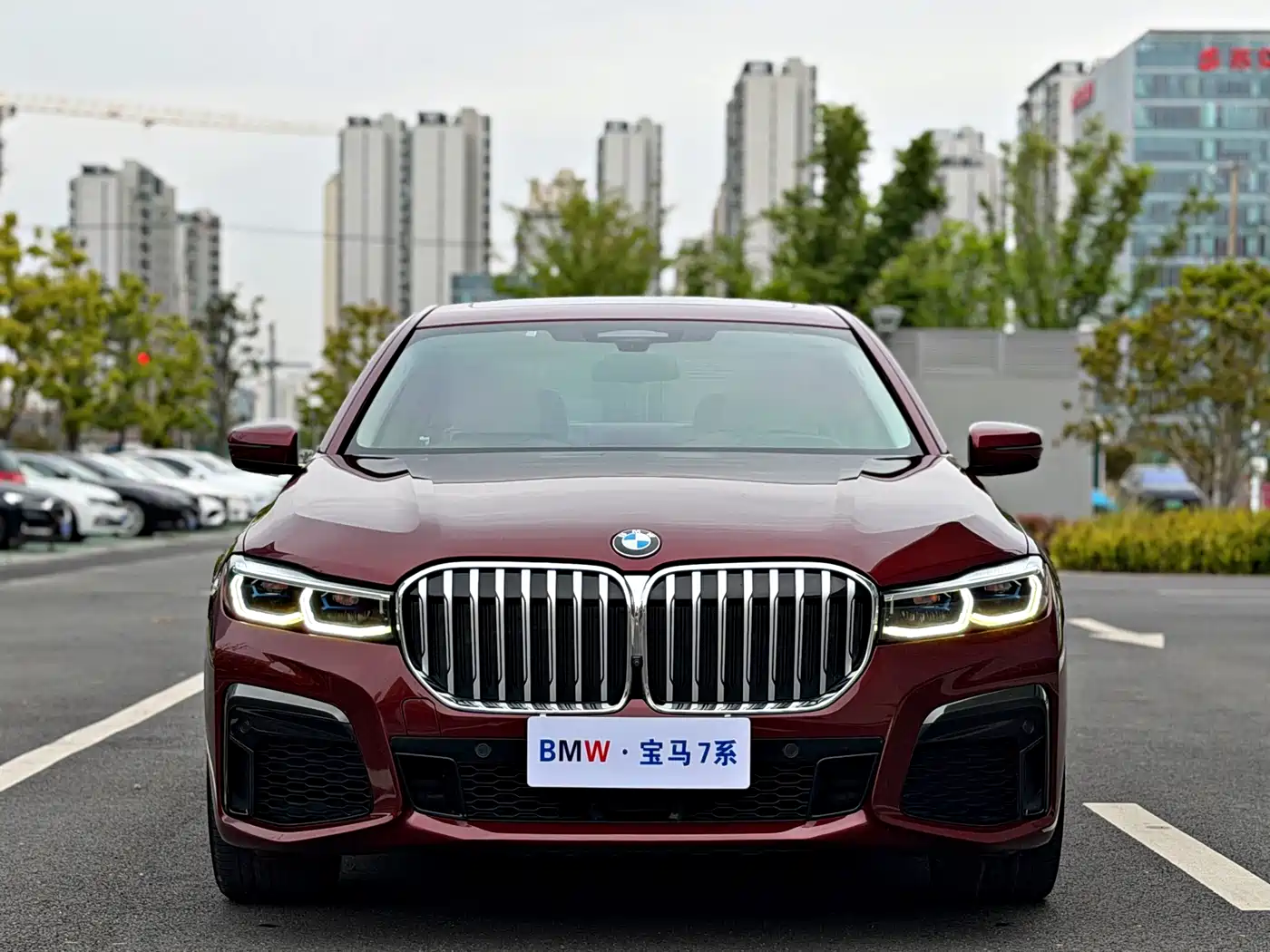 BMW 7 Series 2019 740Li xDrive Executive M Sport Package фото 2