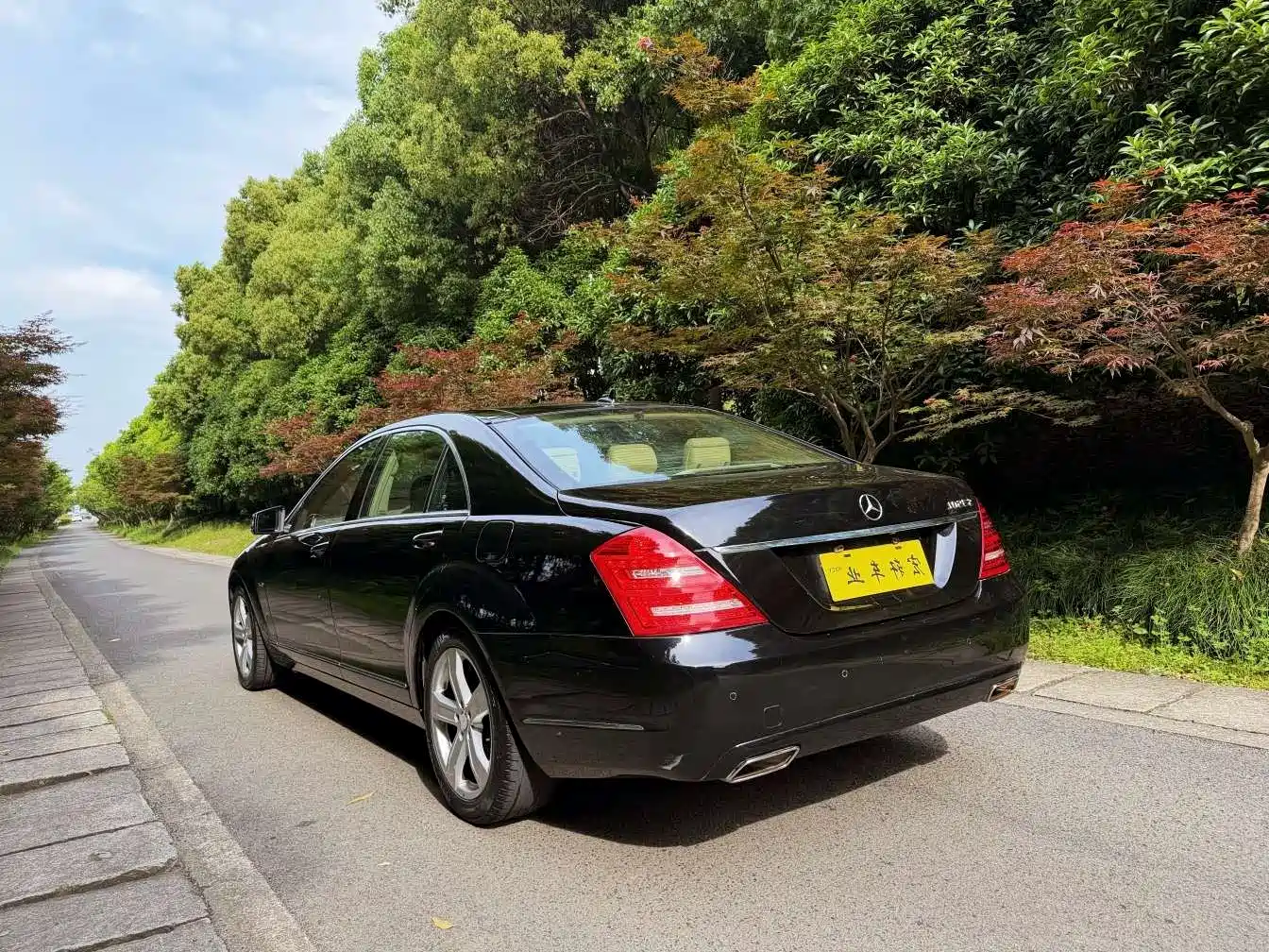 Mercedes-Benz S-Class 2012 S 350 L Grand Edition фото 3