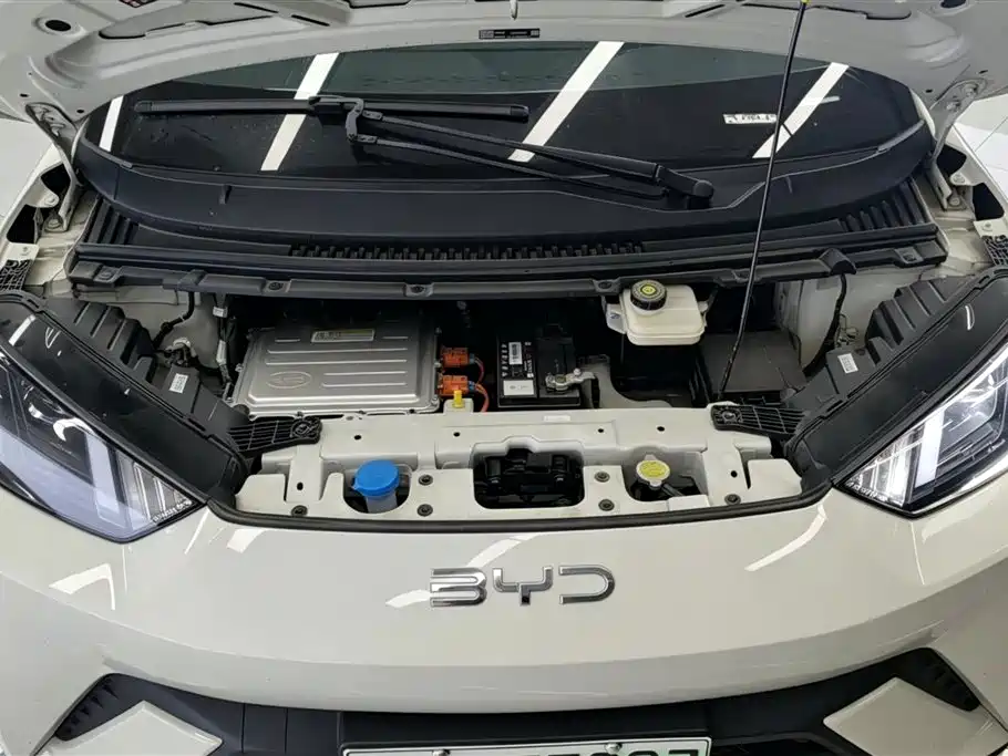 BYD Seagull 2025 305km Vitality фото 10