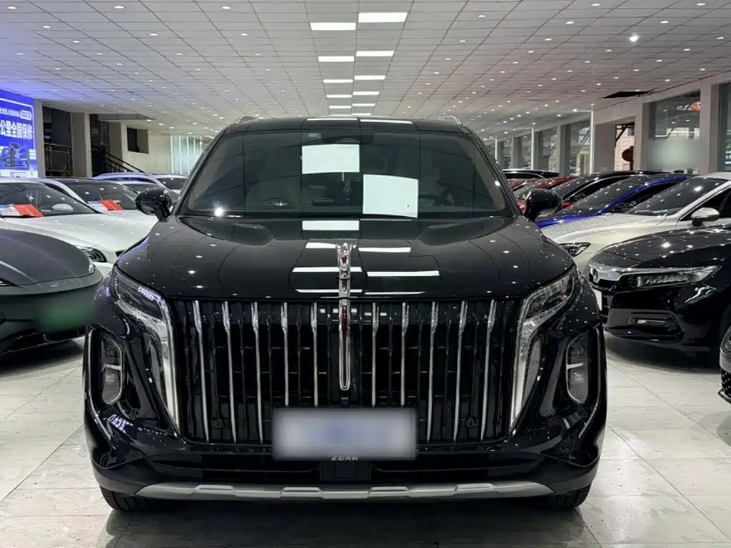 2025 Hongqi HS7