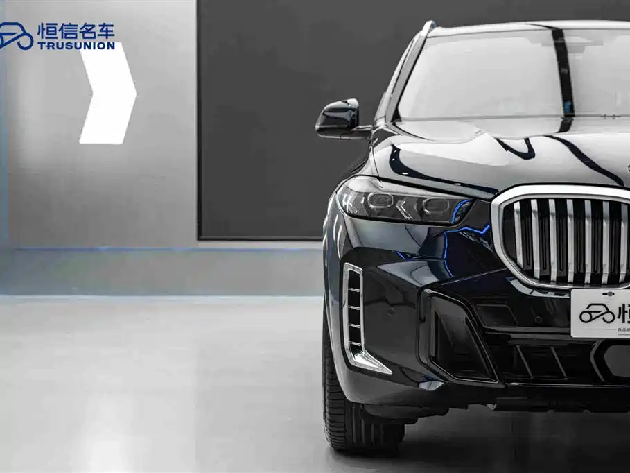 BMW X5 2023 xDrive 30Li Premium M Sport Package фото 8
