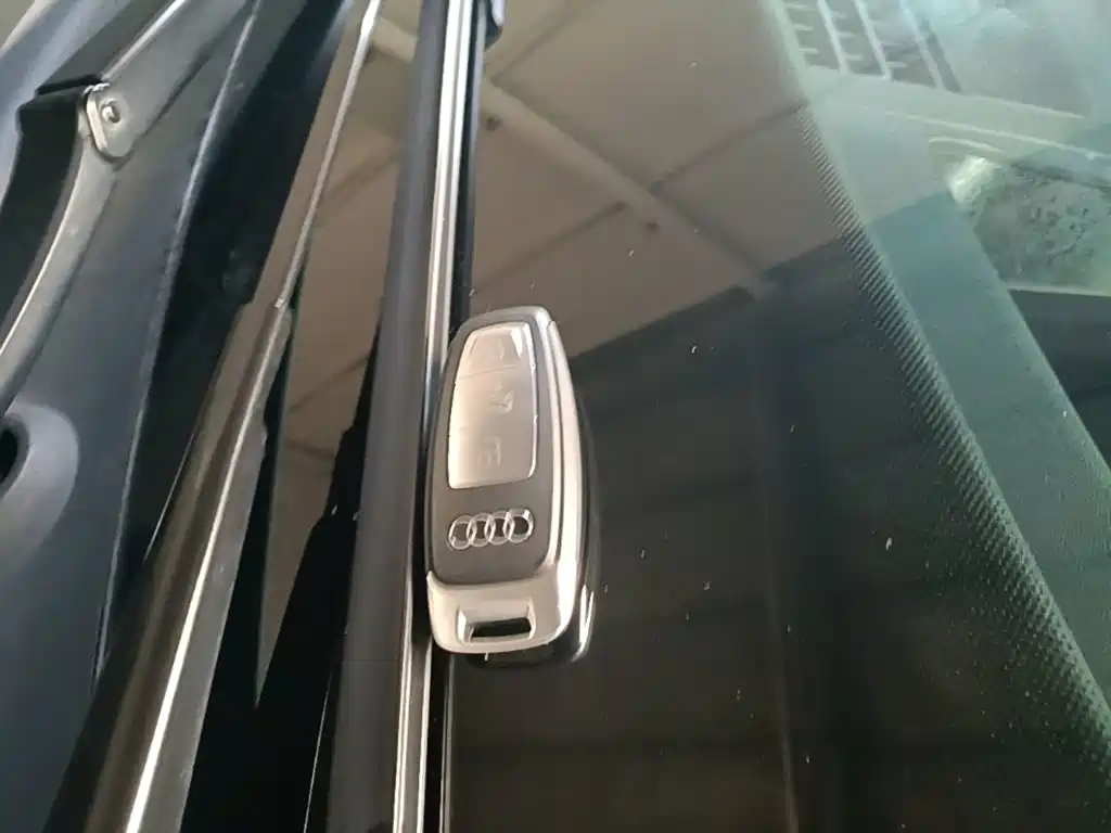 Audi Q5 e-tron 2025 2023 40 e-tron Shining Edition Brocade Package