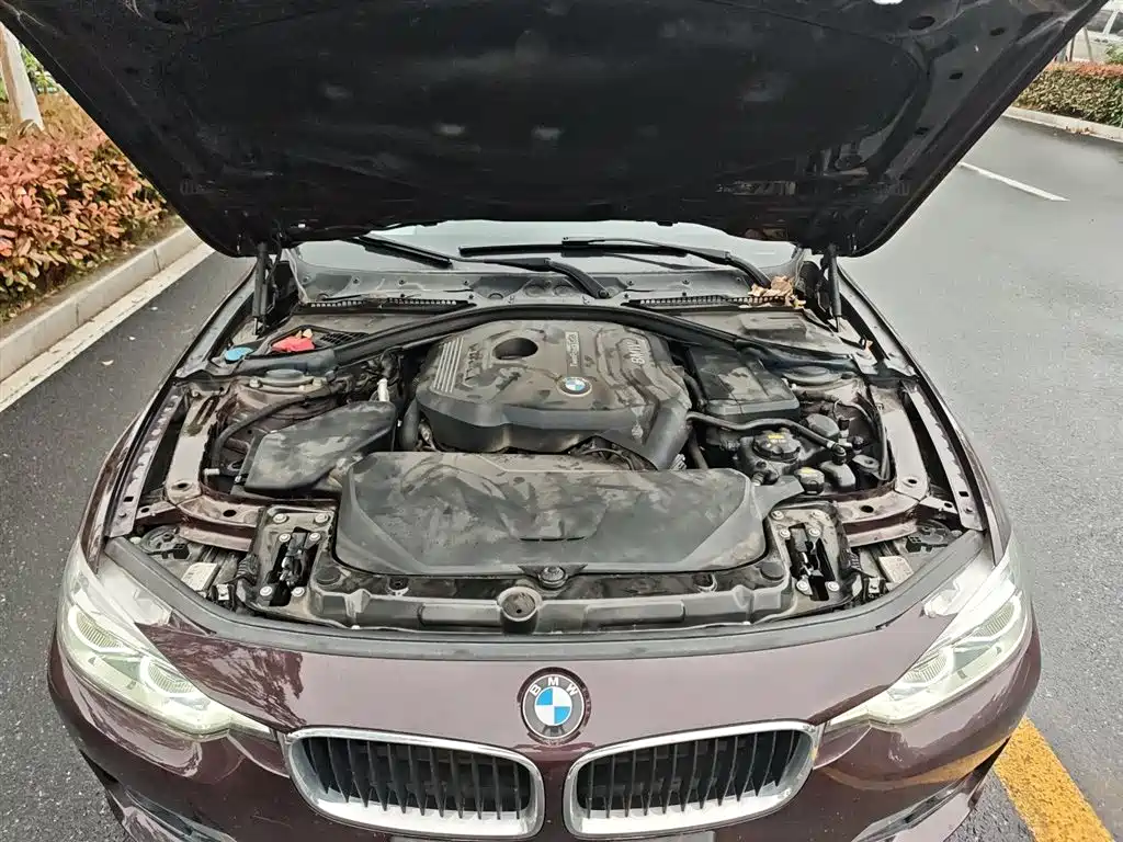 BMW 3 Series 2017 320Li Fashion фото 16
