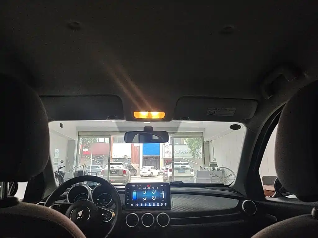 Ora Black Cat 2021 2021 301km Pet Edition