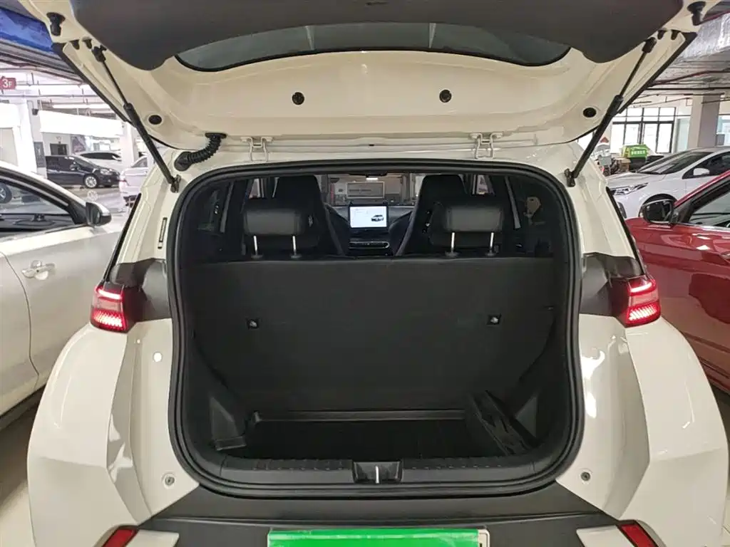 BYD Seagull 2024 Glory Edition 305km Vitality Edition фото 19