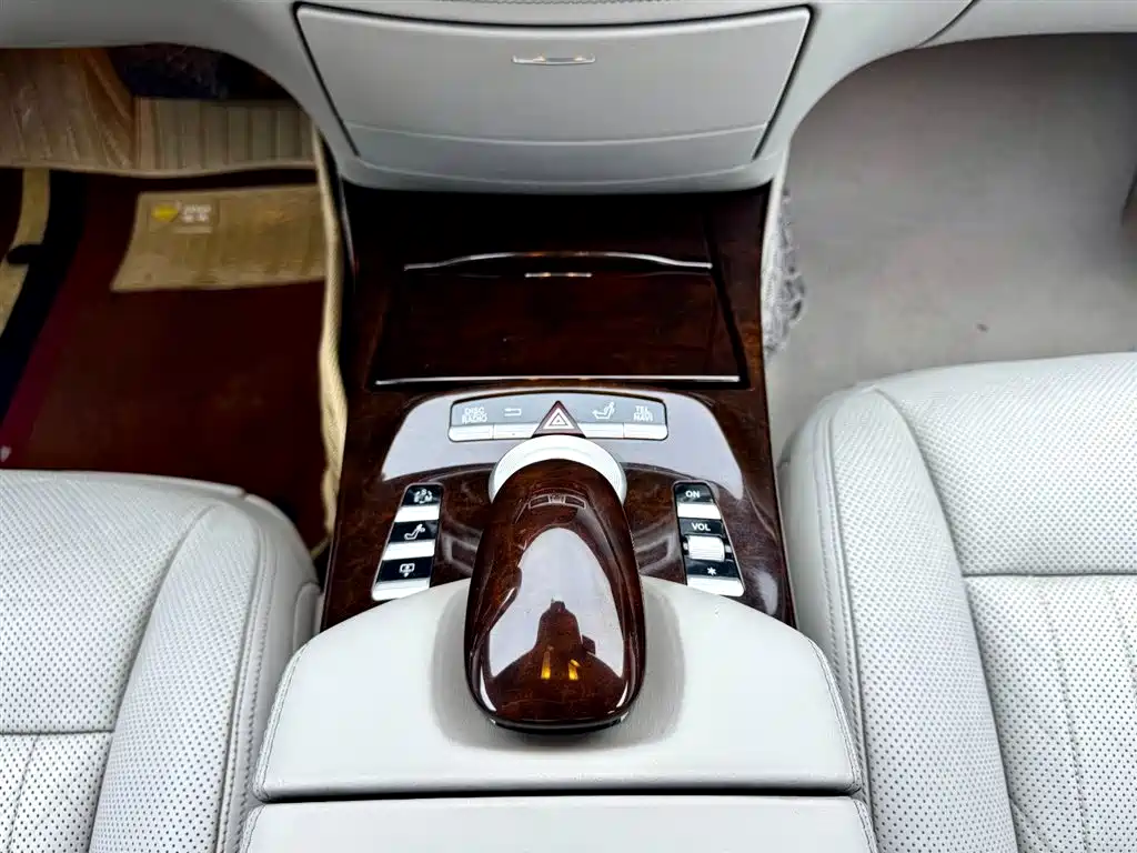 Mercedes-Benz S-Class 2010 S 600 L фото 15
