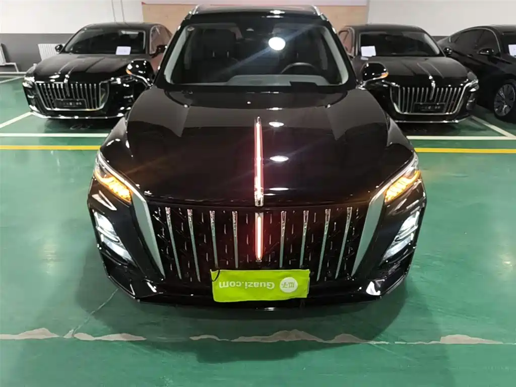 Hongqi HS5 2023 2.0T Flag Enjoy Pro Edition фото 3