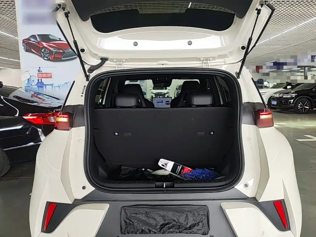 BYD Seagull 2026 2025 Smart Drive Edition 405km Free Edition
