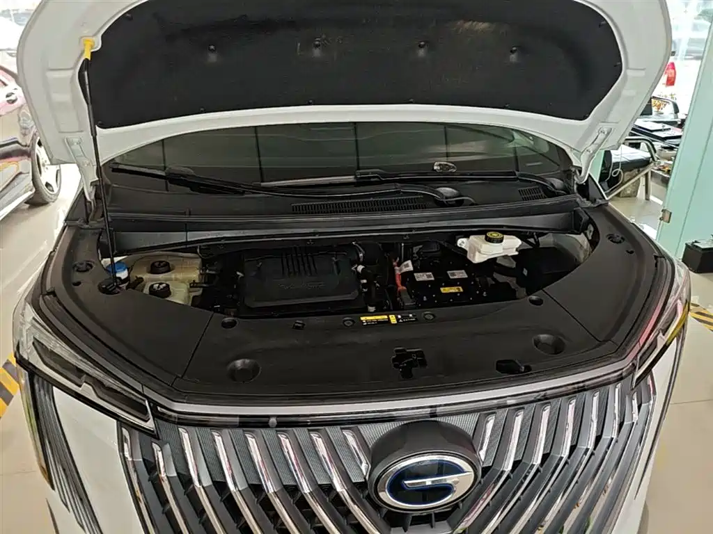 GAC Trumpchi Trumpchi M8 2024 Master Series Super Hybrid фото 20