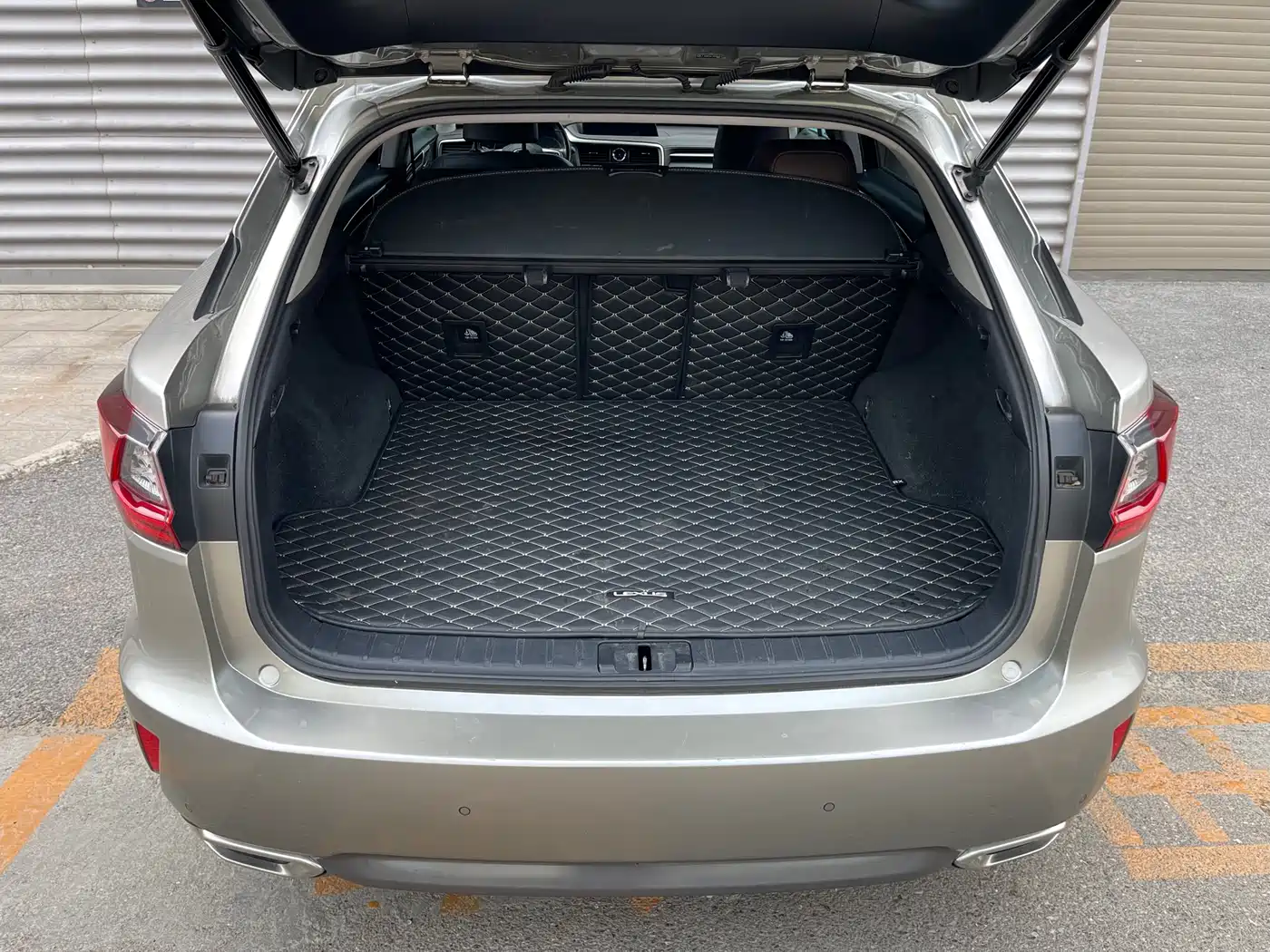 Lexus RX 2016 300 4WD Elegance Edition (China V) фото 10