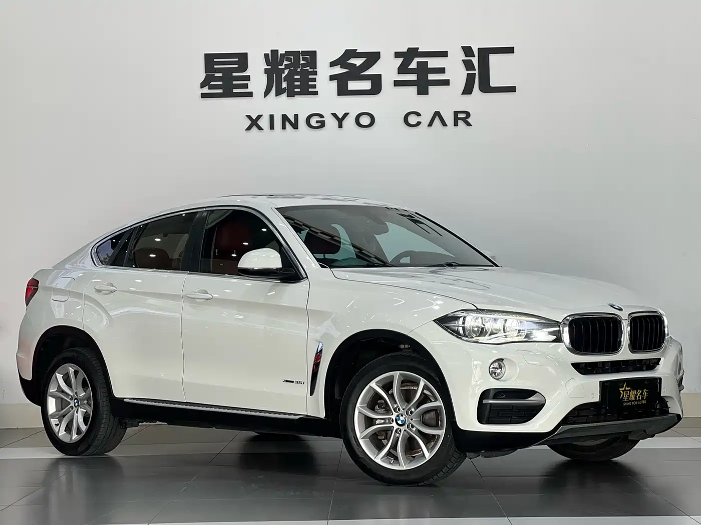 BMW X6 2015 xDrive35i Leading Type