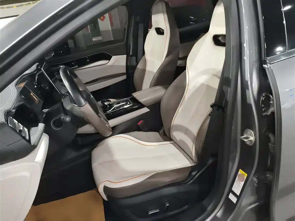 BYD Qin PLUS 2023 Champion Edition EV 510KM Advanced Type фото 15