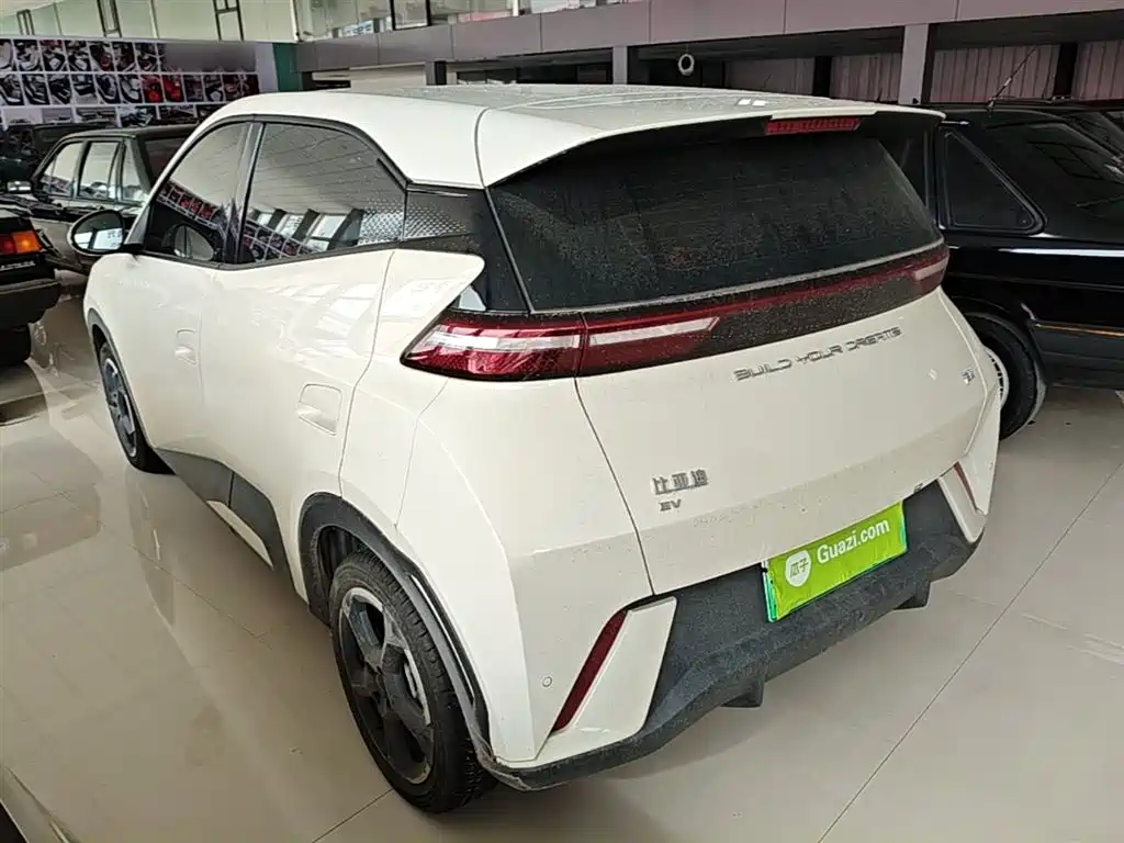 BYD Seagull 2023 Freedom Edition фото 23