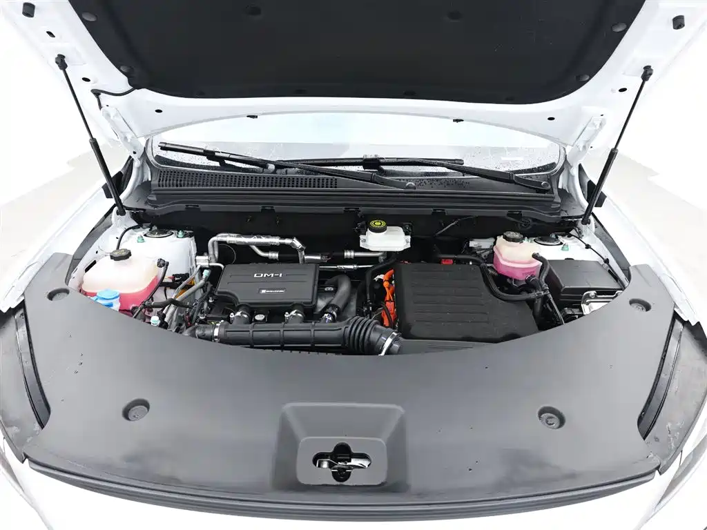 BYD Song Pro New Energy 2025 2nd Gen DM-i 115KM Excellence фото 16