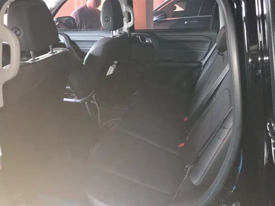 Haval Big Dog 2024 2.0T DCT Chinese Rural Dog Edition фото 11
