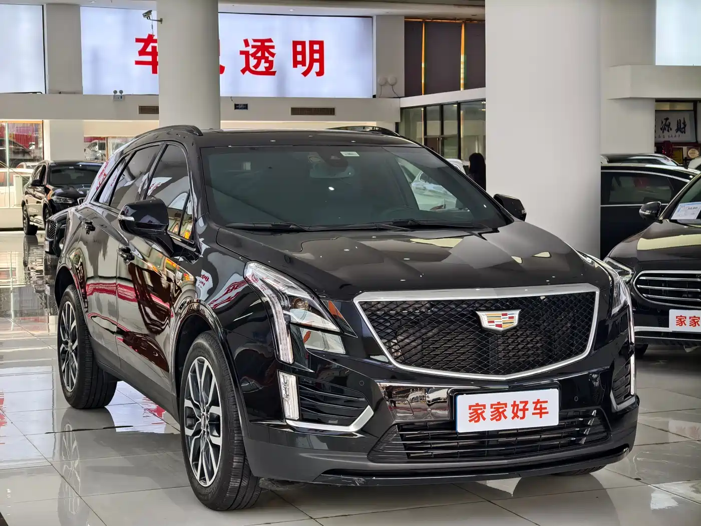 Cadillac XT5 2024 2.0T AWD Luxury (Hummingbird Edition) фото 3