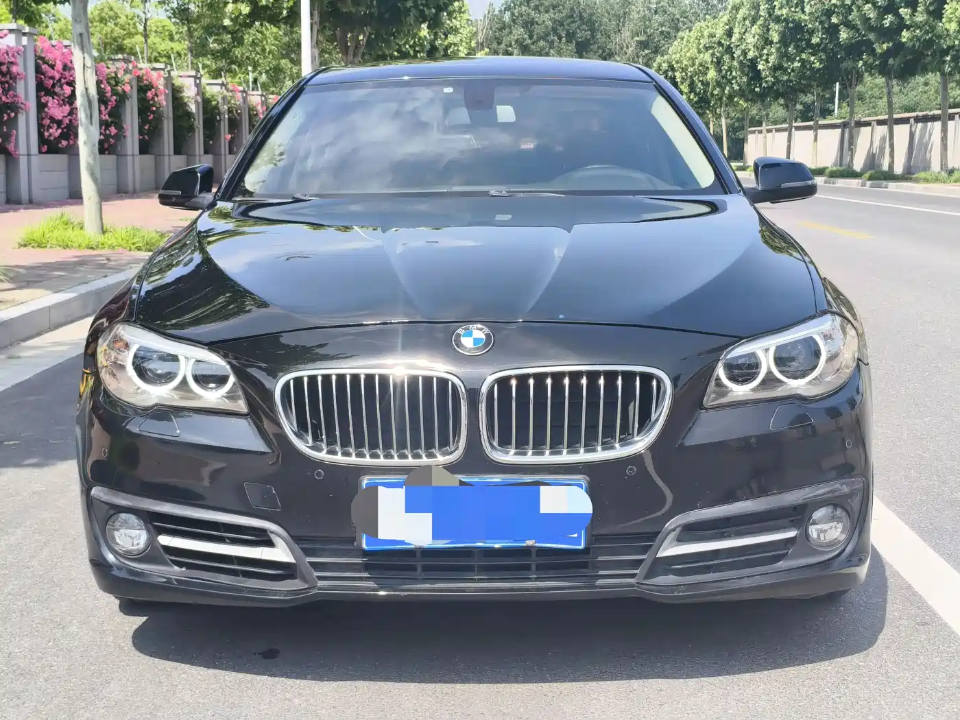 BMW 5 Series 2014 525Li Leading фото 3
