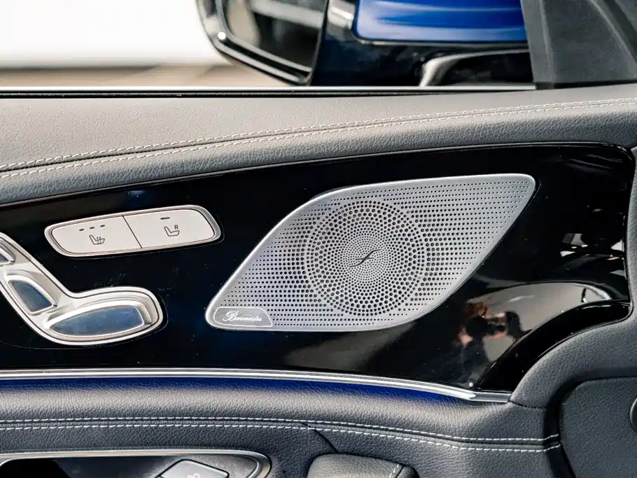 Mercedes-Benz AMG GT 2020 AMG GT 50 4-Door Coupe фото 20