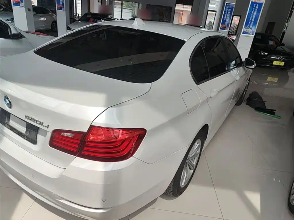 BMW 5 Series 2014 520Li Elegance фото 7