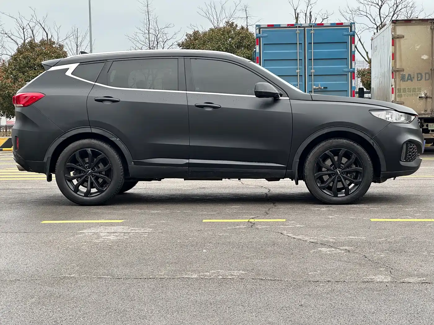 WEI PAI WEI BRAND VV6