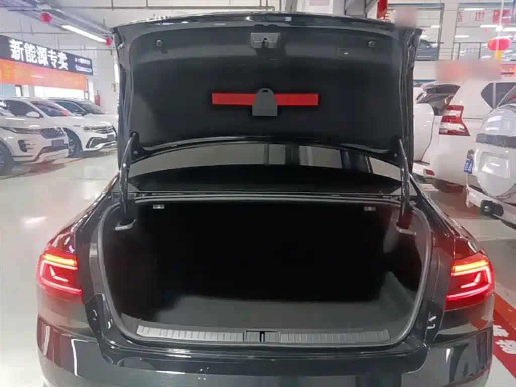 Volkswagen Magotan 2020 380TSI DSG Luxury фото 15