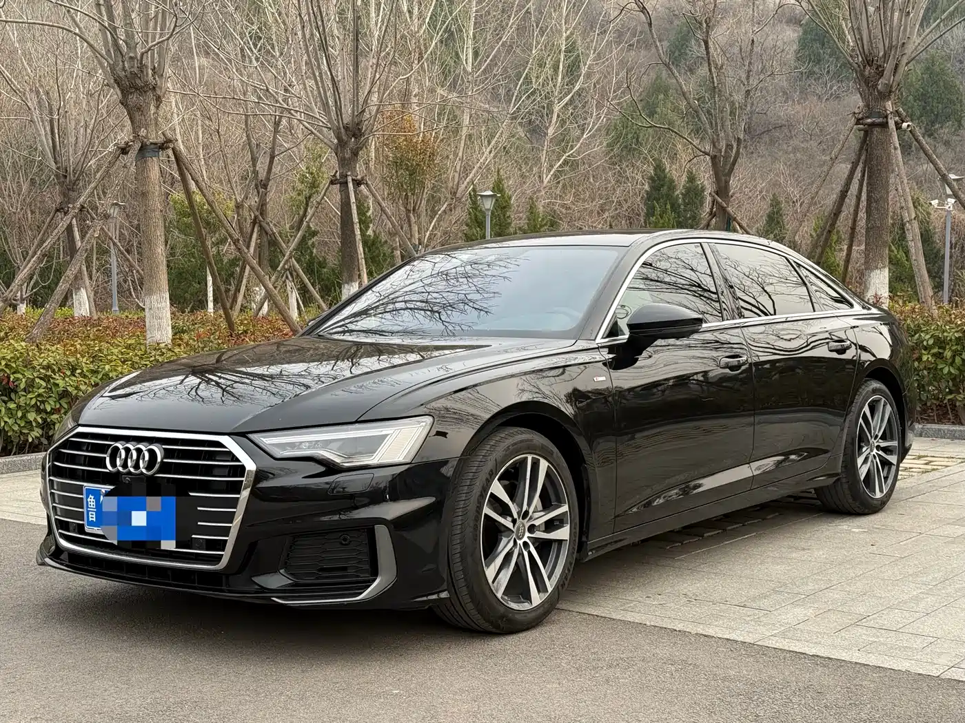 Audi A6L 2021 40 TFSI Luxury Sport
