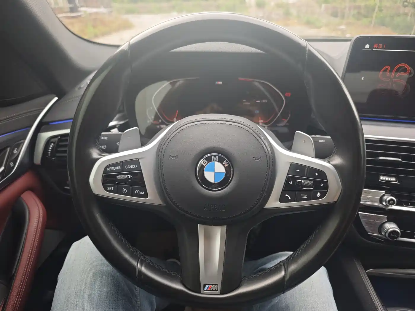 BMW 5 Series 2021 Facelift 530Li Leading M Sport Package фото 15