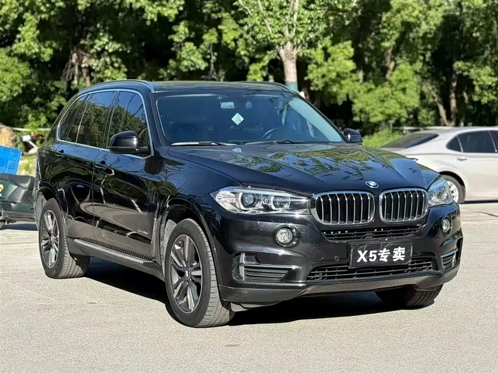 BMW X5 (Import) 2017 xDrive35i Elegance фото 3