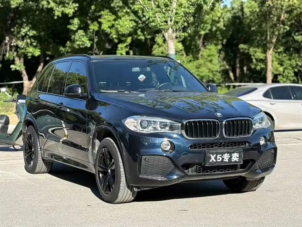 BMW X5 (Import) 2017 xDrive35i M Sport фото 3