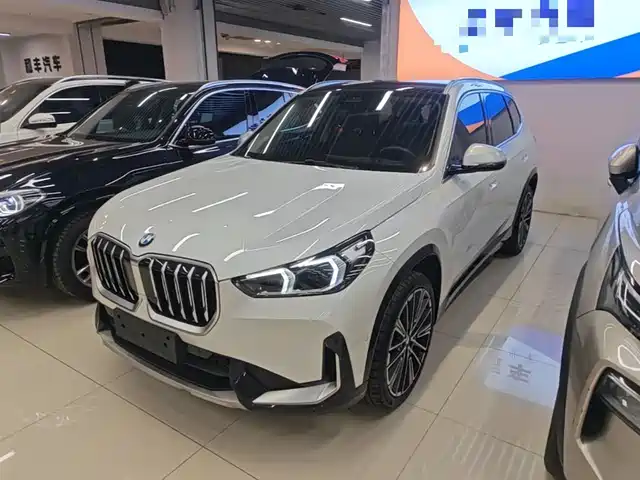 BMW X1 xDrive25Li, X Дизайн-пакет