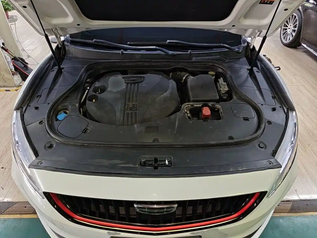 Geely Borui 2021 2021 1.8T Pilot Edition+