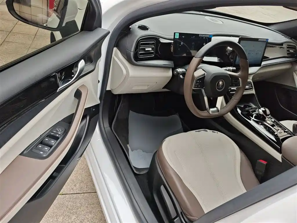BYD Qin PLUS 2024 Glory Edition DM-i 55KM Leading фото 12