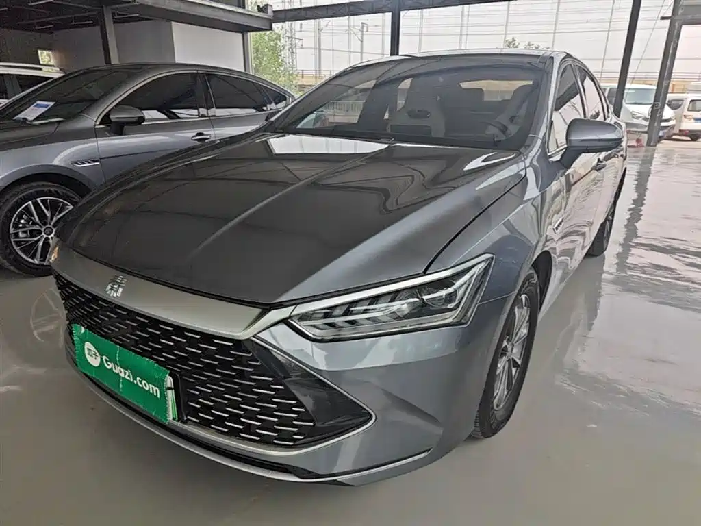 BYD Qin PLUS 2023 Champion Edition DM-i 55KM Leading