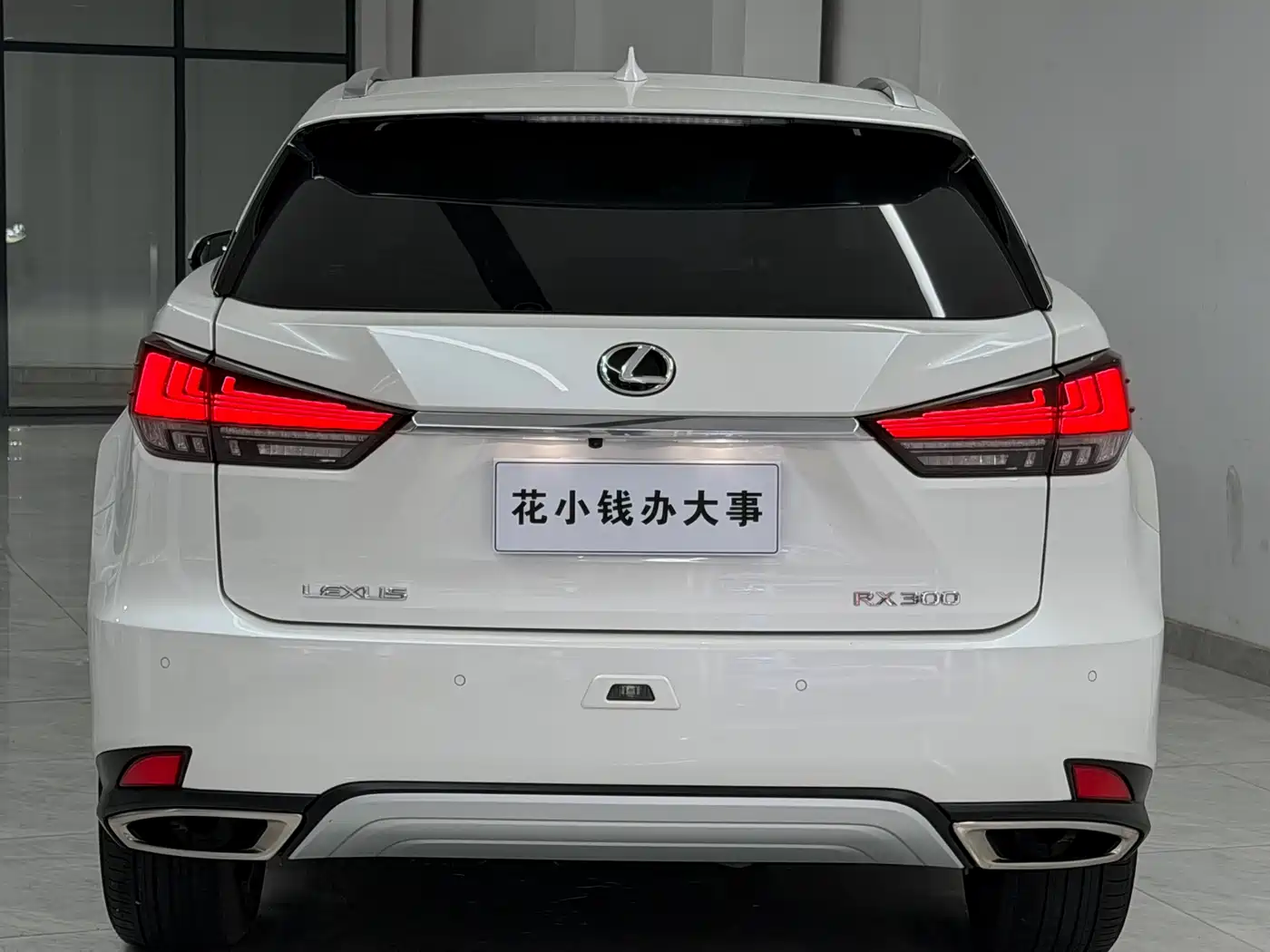 Lexus RX 2020 300 4WD Elegance Edition China VI фото 15