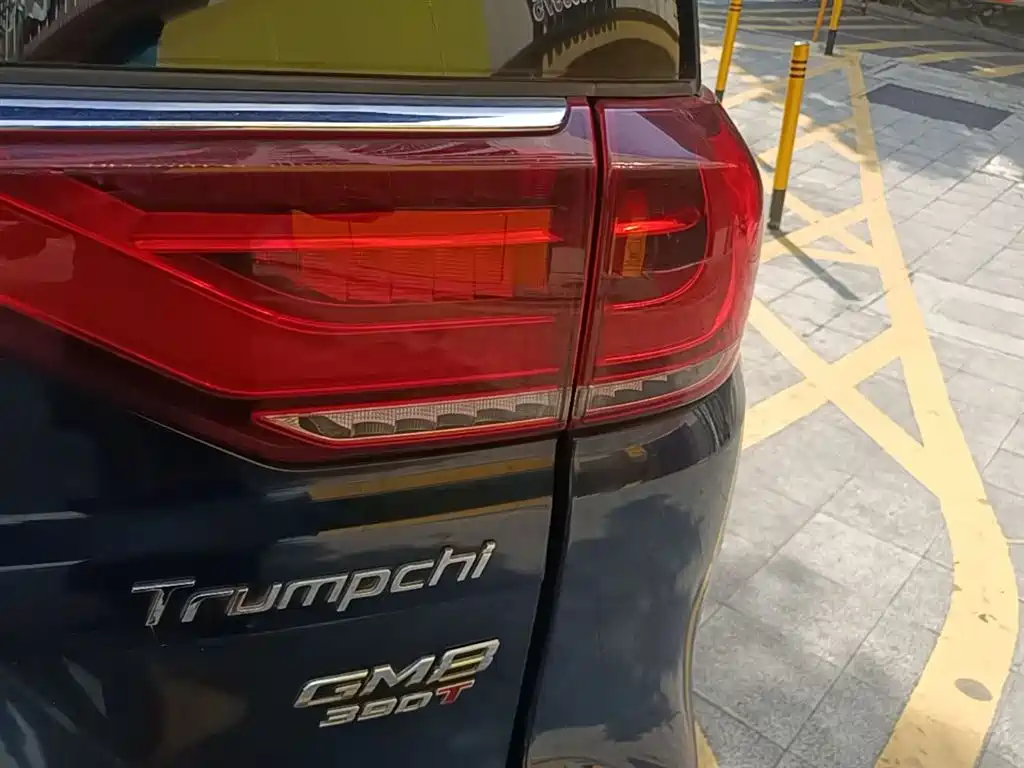 GAC Trumpchi Trumpchi M8 2020 Pilot 390T Prestige Edition фото 8