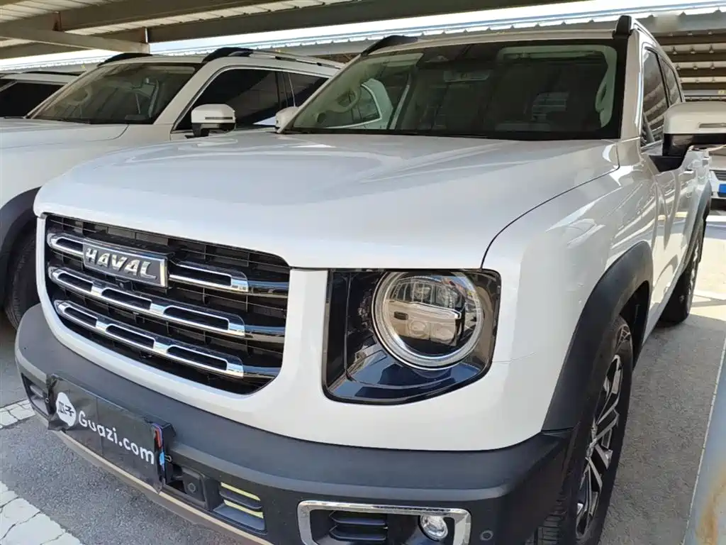 Haval Big Dog 2021 1.5T DCT 2WD Border Collie Edition
