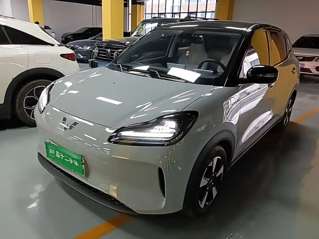 Wuling Motors Wuling Binguo PLUS 2024 2024 Model 330km 5-Seater